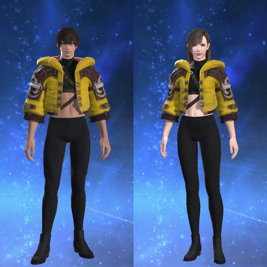 Ornate Diadochos Jacket of Striking's gearset image.