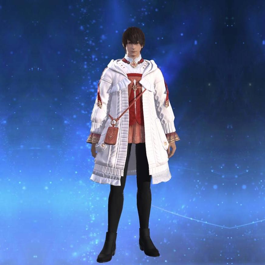ディアドコス・ヒーラーコートSP's gearset image male.
