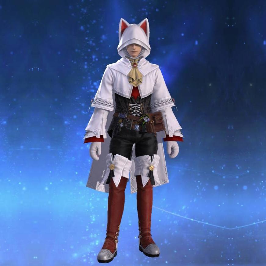 Felicitous Tunic's gearset image male.
