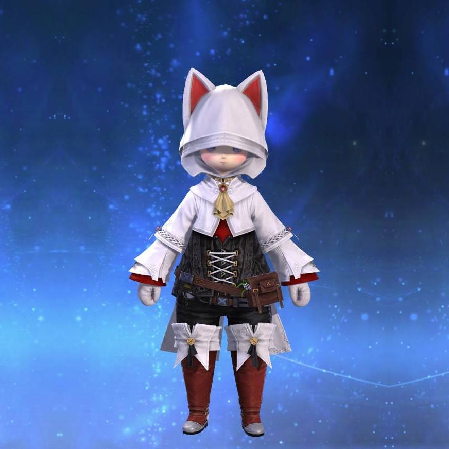 Felicitous Tunic's gearset image female model.