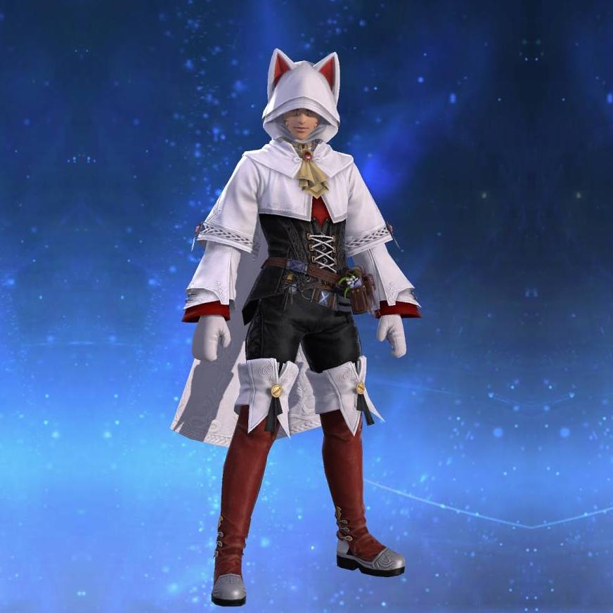 Felicitous Tunic's gearset image male model.
