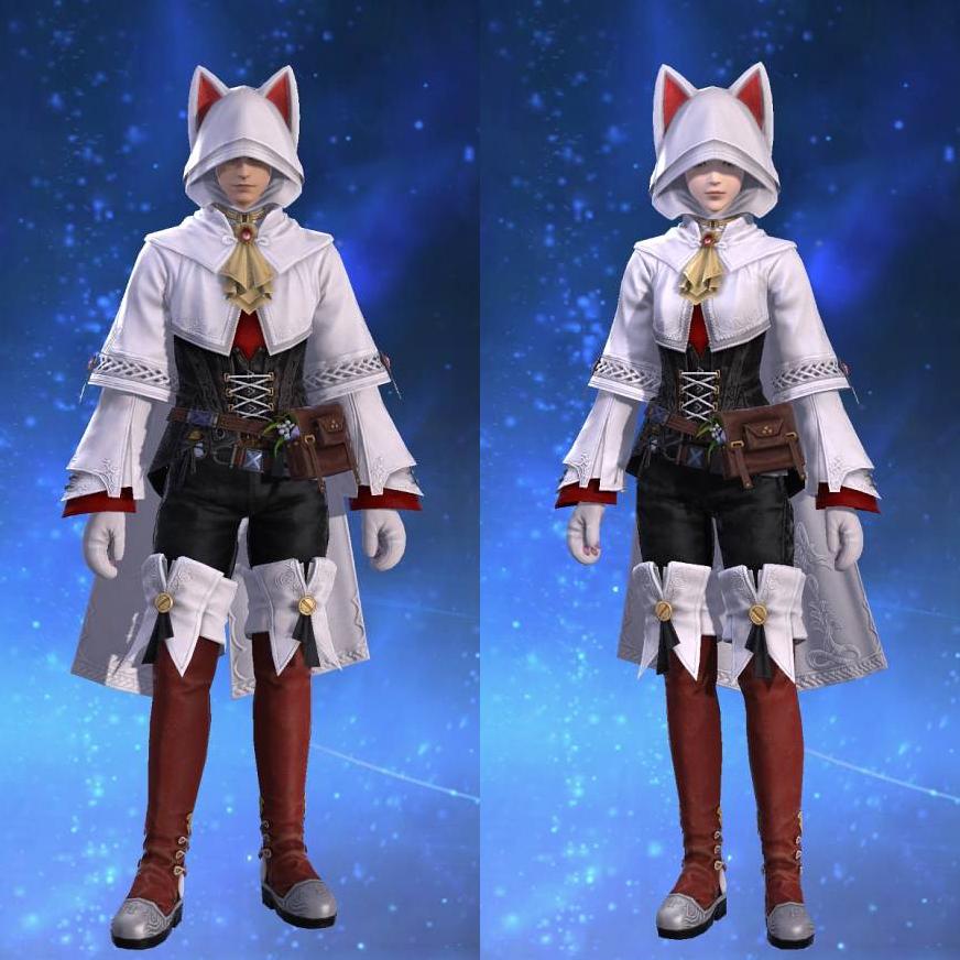 Felicitous Tunic's gearset image.