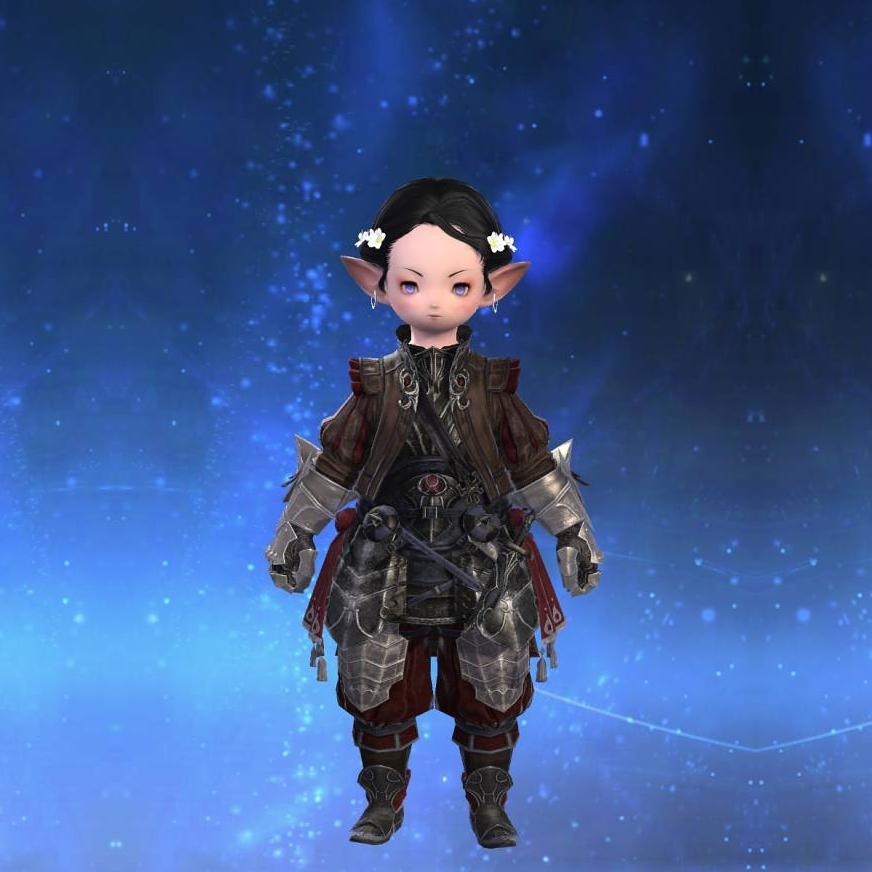 Prestige Onion Armor's gearset image female model.