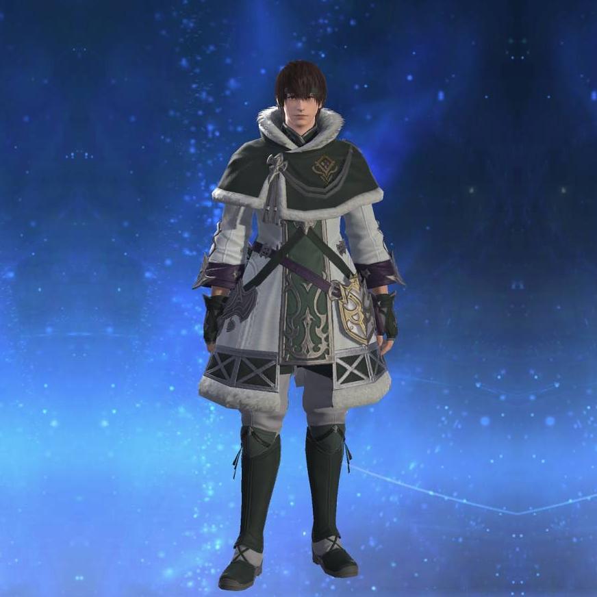 ホースチェスナット・ヒーラーアタイア's gearset image male.
