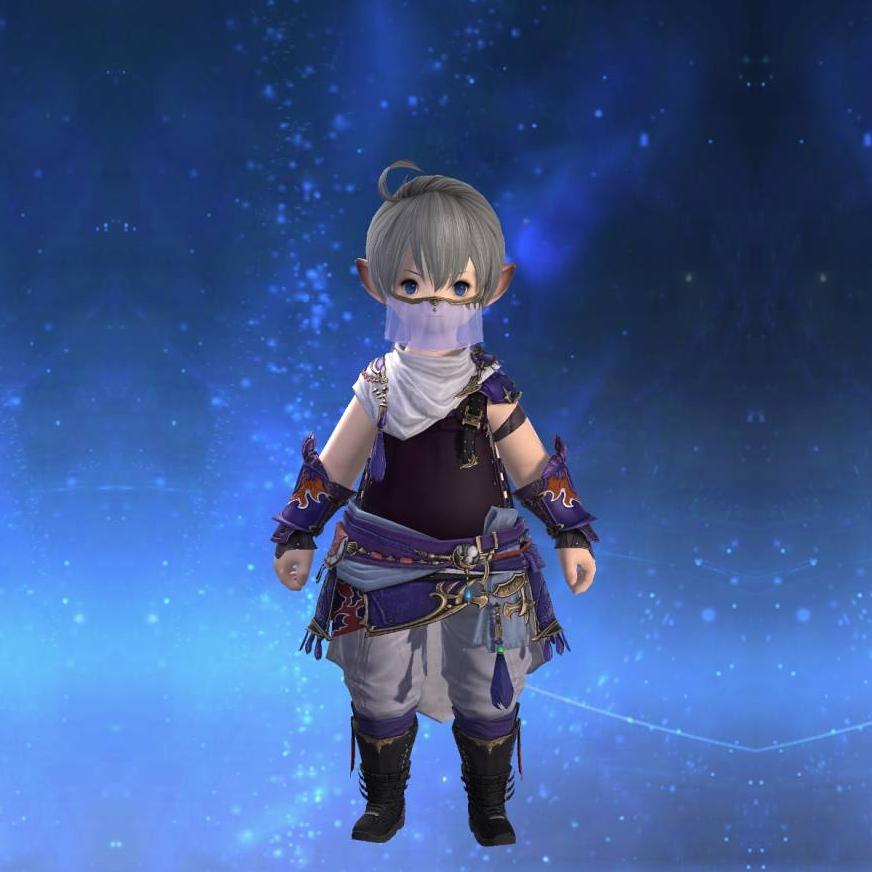 Moonward Cloak of Scouting's gearset image male model.