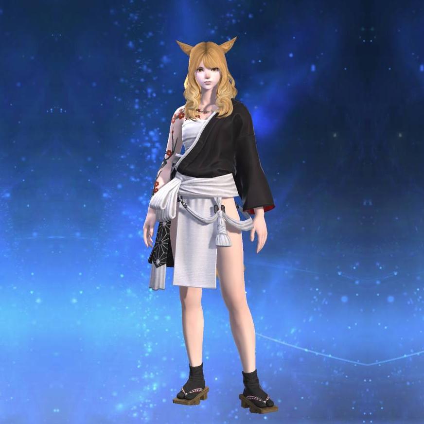 Yakaku Dogi's gearset image female model.