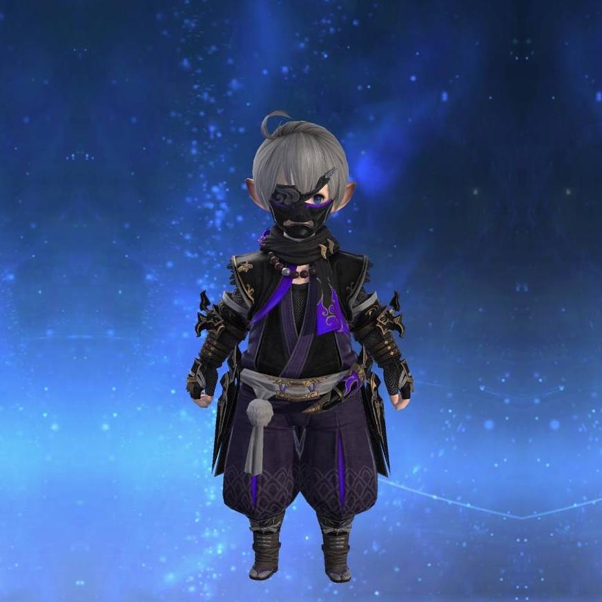 蜂屋装束's gearset image male model.