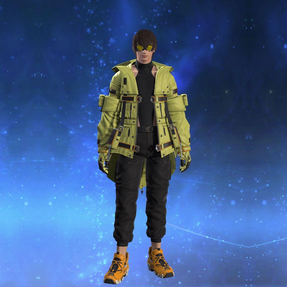 Everseeker's Coat of Gathering's gearset image male.