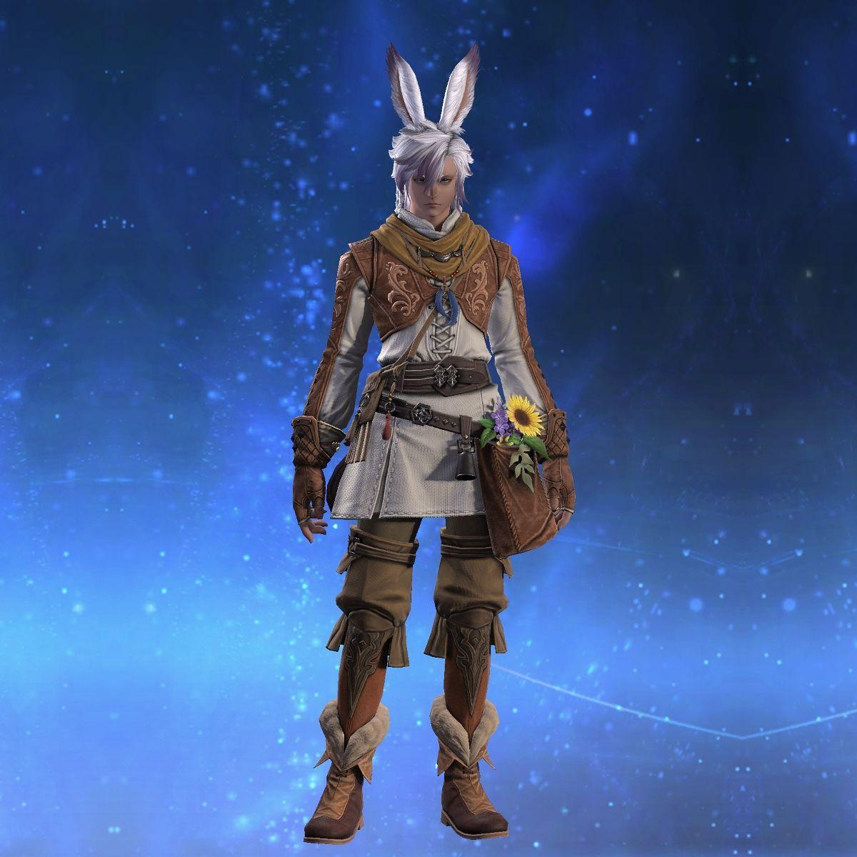 フィールドライズ・アタイア's gearset image male model.