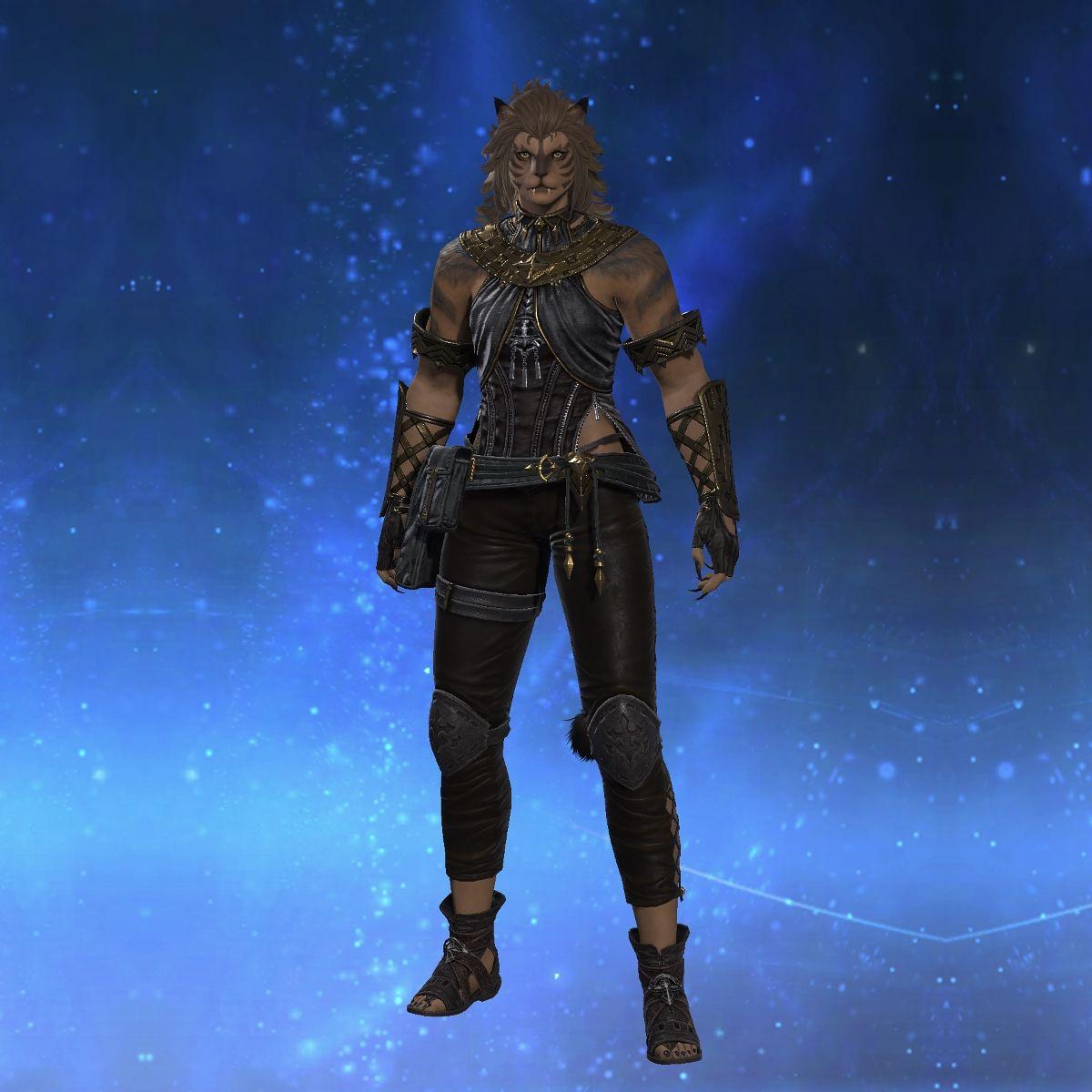 Hrothgar Vest's gearset image.